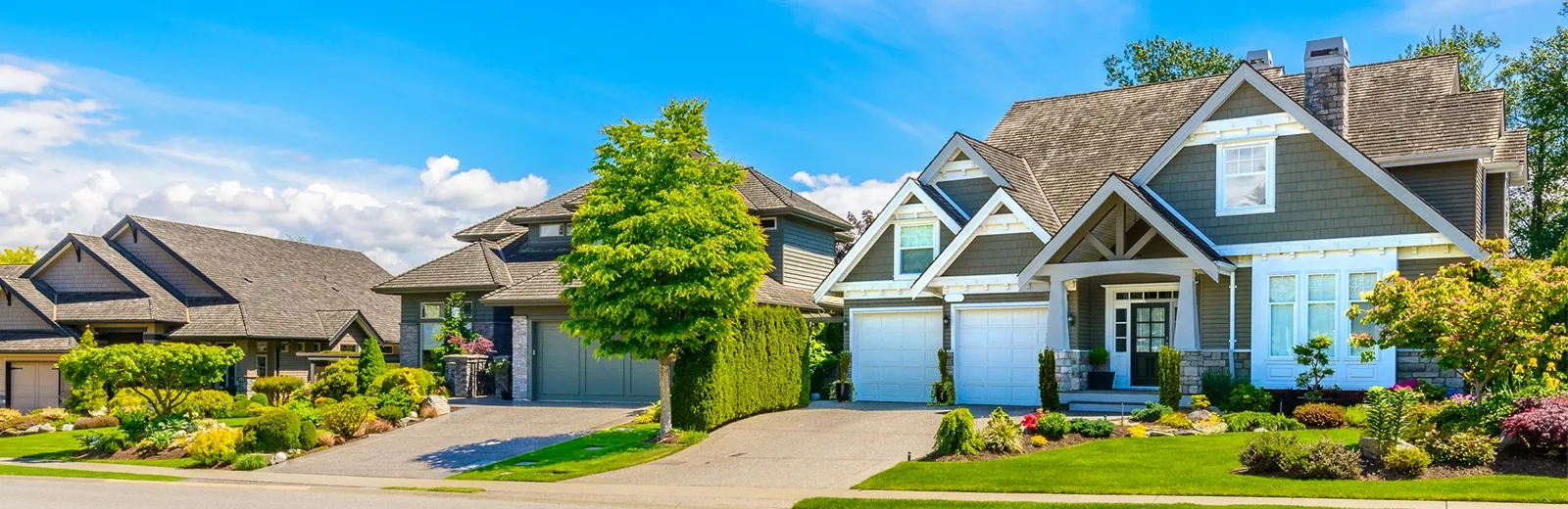 house with a green lawn